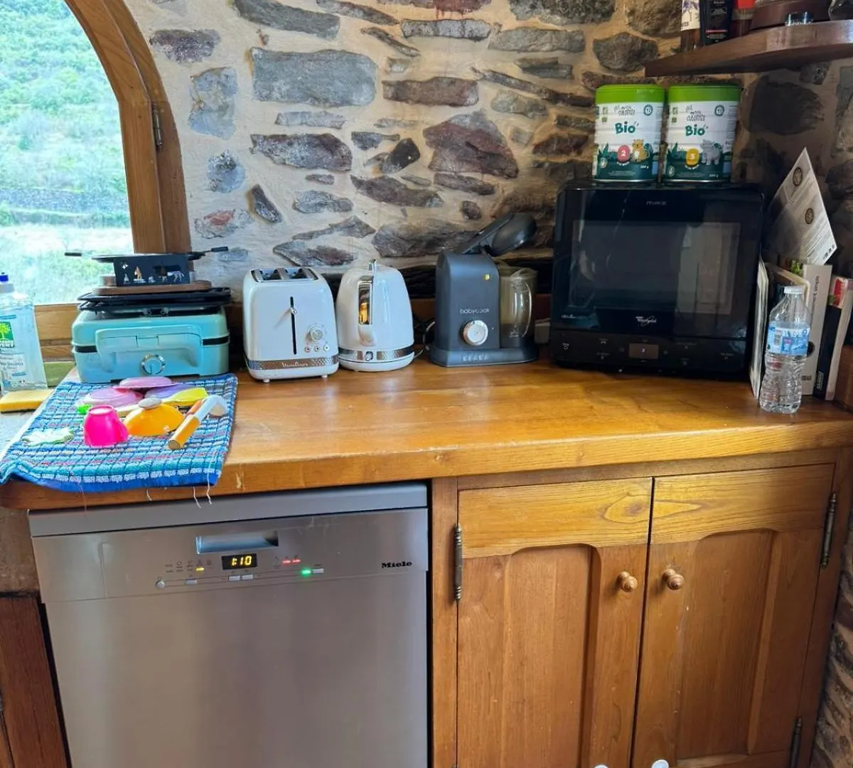 Apartment La Boussonie, Mas De Caractere Au Pays Des Vans Les Vans France